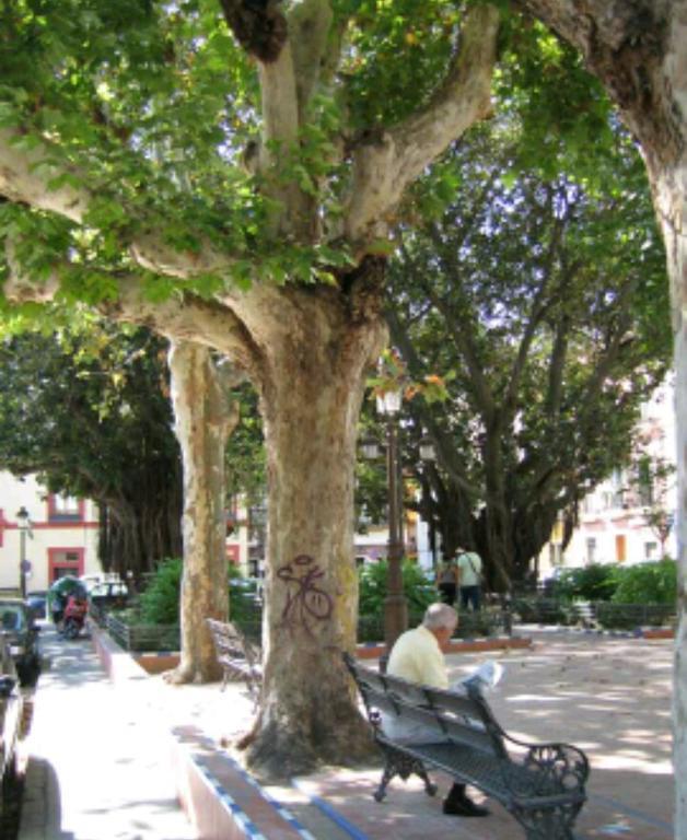 En El Corazon De Sevilla Exterior photo
